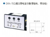 DXN-T(Q)高壓帶電顯示器