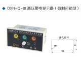 DXN-Q-Ⅲ高壓帶電顯示器